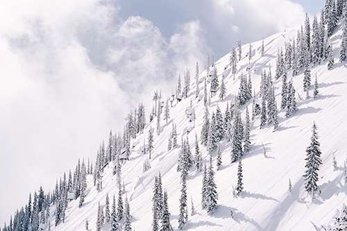 Profi-Freeskier Elyse Saugstad überlebt massive Lawine am Stevens Pass